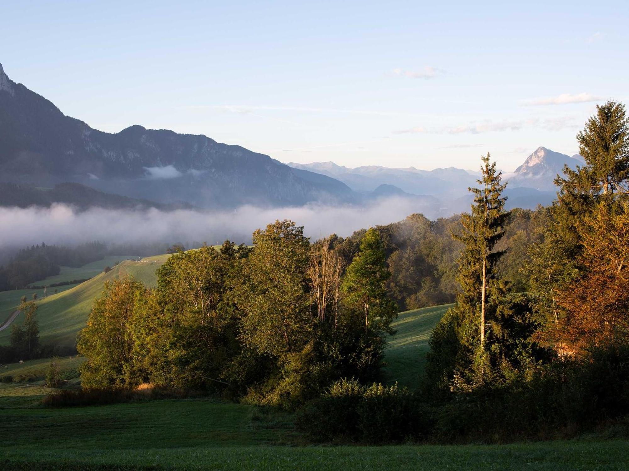 Unterwirt - Das Kleine Gourmethotel Ebbs Buitenkant foto
